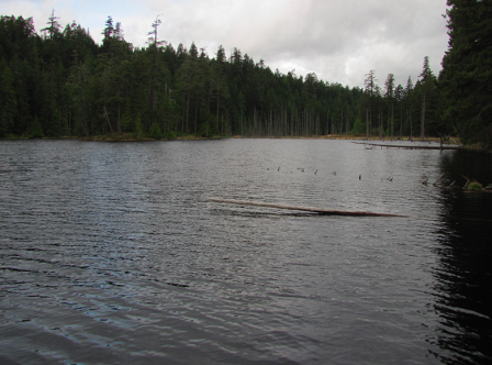 Denman Island Lake